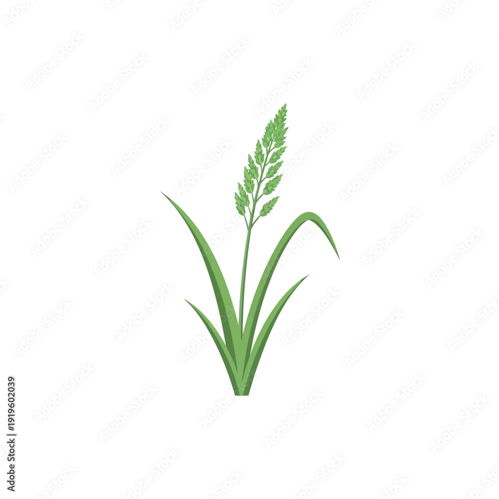 Fototapeta premium Elegant Blade of Grass Minimal Nature Icon