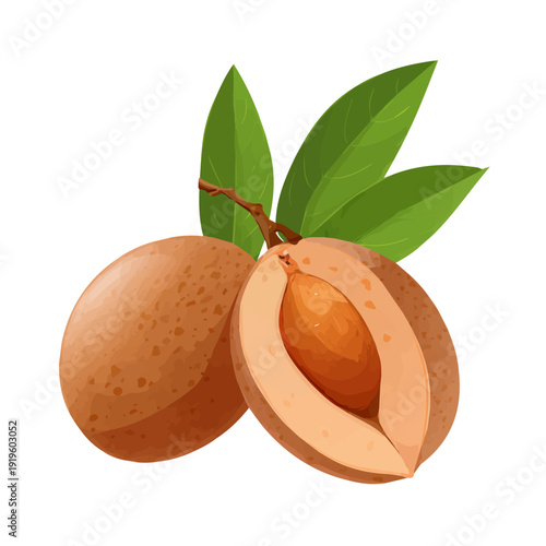 Simple flat 2D vector graphic of a Sapodilla in modern icon style, isolated on a white canvas