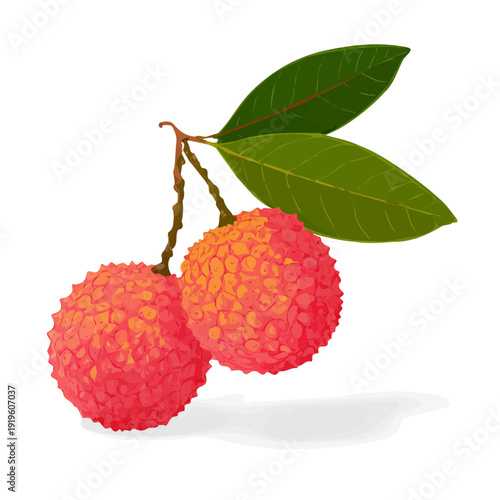 Simple flat 2D vector graphic of a Lychee in modern icon style, isolated on a white canvas