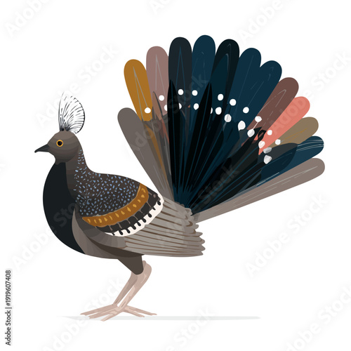 Lyrebird, rendered in a minimalist 2D flat vector icon style against a pure white backdrop