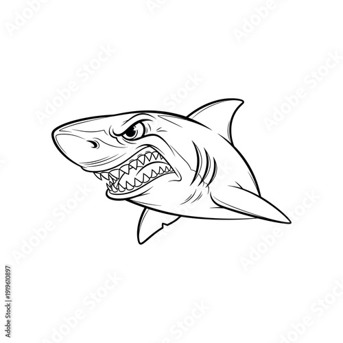 Detailed black and white illustration of a shark head with sharp teeth, fins visible, on a white background