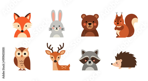 Cartoon forest animals illustration