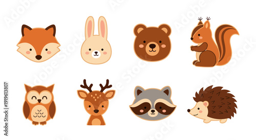 Cartoon forest animals illustration