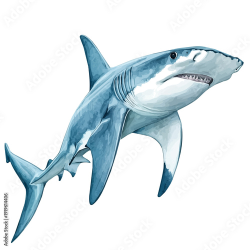 Hammerhead Shark, charming watercolor vector with soft tones and graceful design, isolated on a white background.