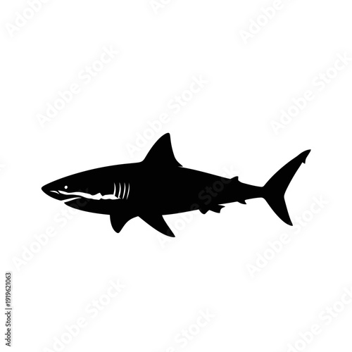 Silhouette of a great white shark swimming in the ocean, isolated on white.