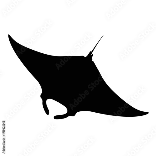 Black silhouette of a majestic manta ray swimming gracefully underwater, showcasing its distinctive shape and fins.