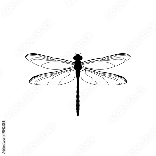 Black and white illustration of a dragonfly with detailed wings on white background.