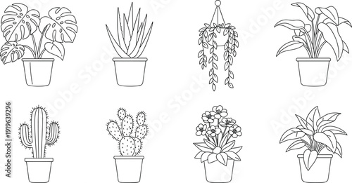 Indoor houseplant line art collection, potted tropical plants cactus succulent flowers, minimalist black and white botanical vector set