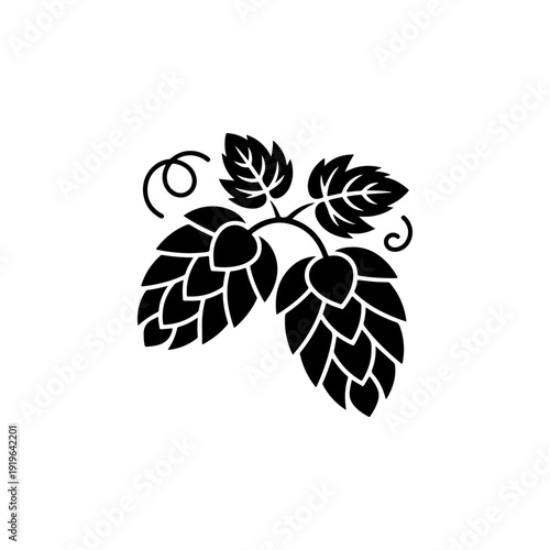 A detailed black and white vector illustration of two beer hop cones with leaves. A high-contrast graphic perfect for craft brewery branding and botanical design.