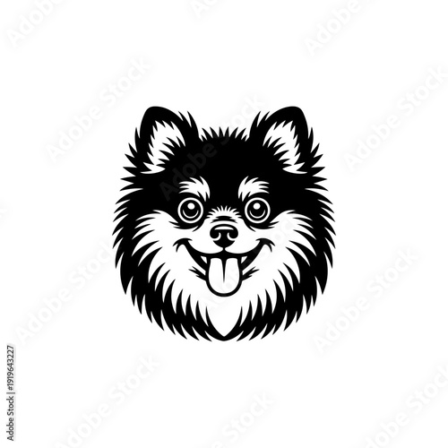 A bold black and white vector illustration of a happy Pomeranian dog's face. This high-contrast portrait features a fluffy coat and a playful expression with its tongue out.