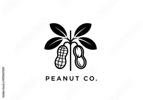 Peanut Plant Logo Design – Minimalist Black and White Organic Company Emblem