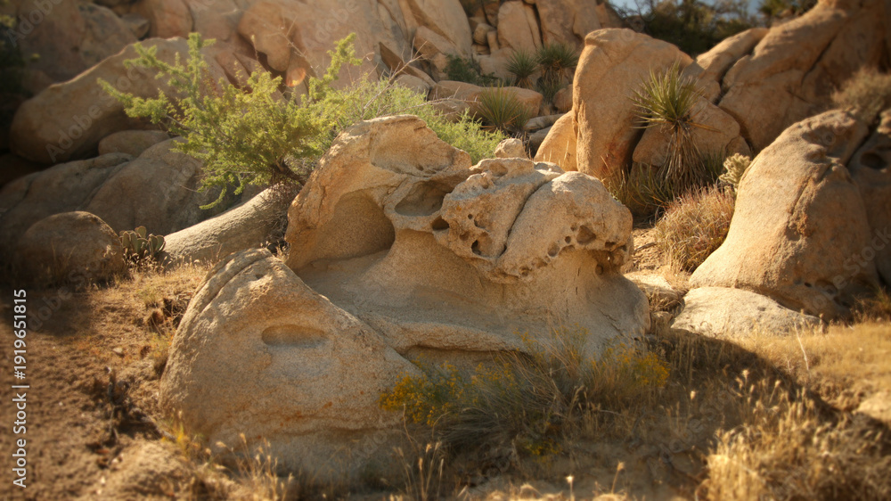 Naklejka premium Textured beige rock formation with natural holes and erosion lies on the sandy ground in Joshua Tree National Park USA.
