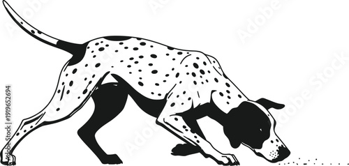 Dalmatian dog illustration in action pose with white background