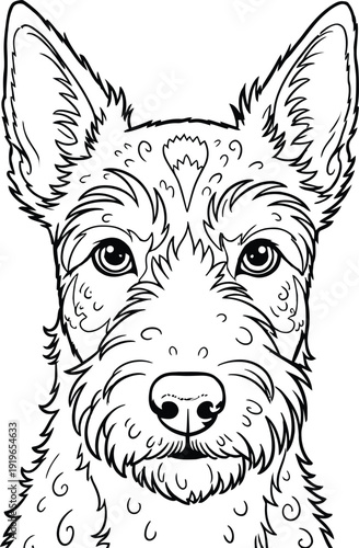 Detailed illustration of a dog with shaggy coat and pointed ears in black and white line art