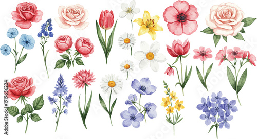 Colorful assortment of roses tulips and wildflowers on white background