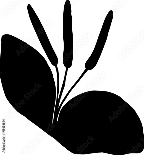 Plantain Leaf Silhouette – Minimal Hand Drawn Botanical Vector Illustration