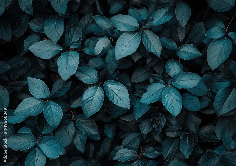 Fototapeta premium Close-up of lush green leaves. Leaves are overlapping, with varying shades of green. Well-lit and in focus, filling the frame. AI.