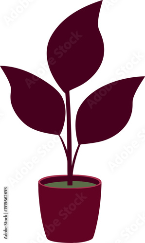 Minimalist burgundy rubber plant illustration in maroon pot