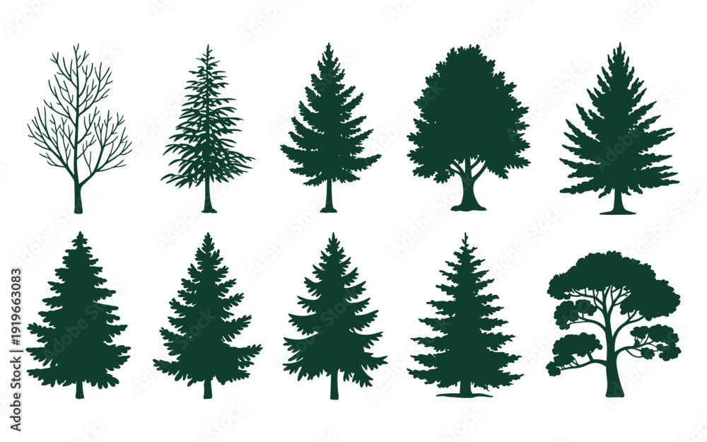 Fototapeta premium Collection of Diverse Tree Silhouettes: Conifers, Deciduous, and Bare Branches