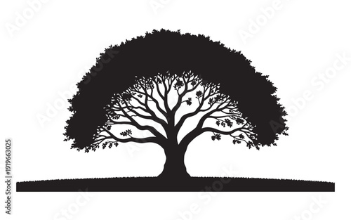 Black Silhouette of a Large, Full Tree with a Broad Canopy and Grass