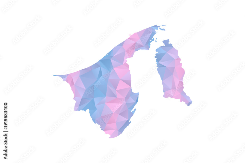 Obraz premium Brunei Map - Polygon Style Vector Illustration in Pastel Blue and Pink Gradient, Low Poly Geometric Design, Isolated on White Background for Infographics and Education.