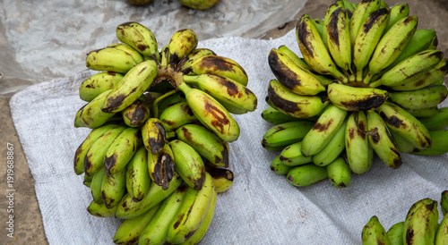 fresh bananas from the amazon jungle in Peru