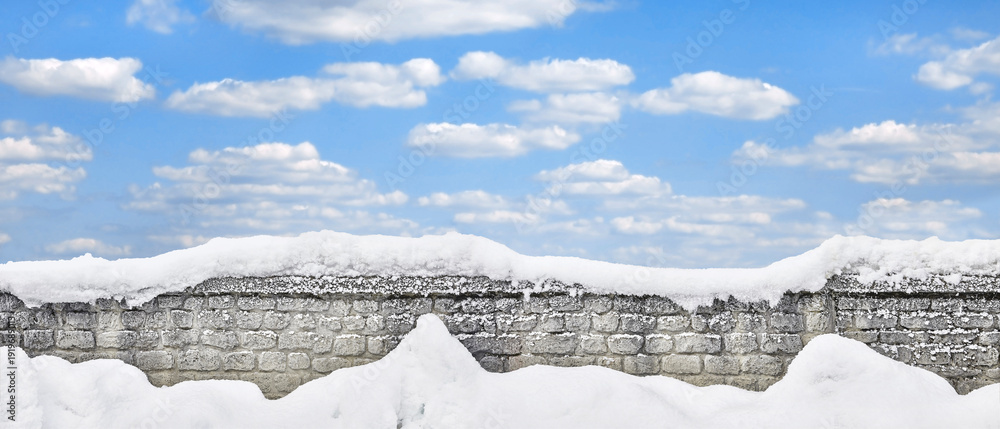 custom made wallpaper toronto digitalBeautiful snow-covered park wall in panorama format.