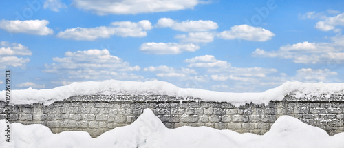 Wallpaper Mural Beautiful snow-covered park wall in panorama format. Torontodigital.ca