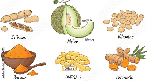 Healthy ingredient illustration grid. Soybean, melon, vitamins, turmeric and omega 3 supplements. Clean educational design isolated on white background with dark gray border.