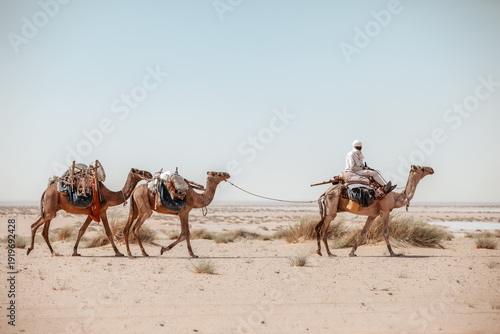 Tableau sur toile Man and Camels Crossing the Arid North of Chad