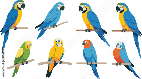 Colorful parrot and macaw bird vector illustration set featuring tropical parrots perched on branches, cute flat design exotic wildlife icons isolated on light background