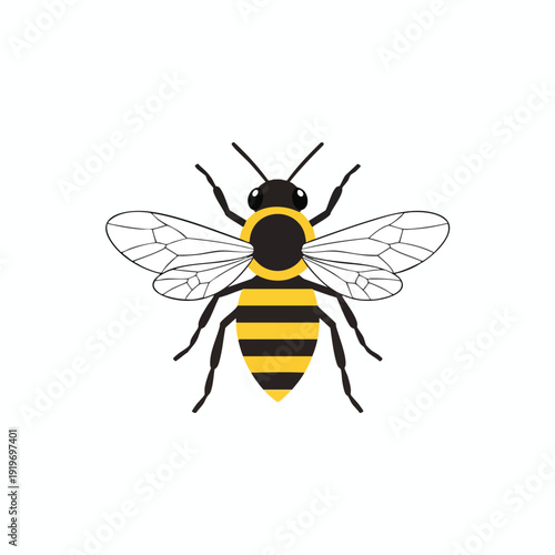Beautiful Digital Illustration of a Bee with Detailed Wings and Striped Body