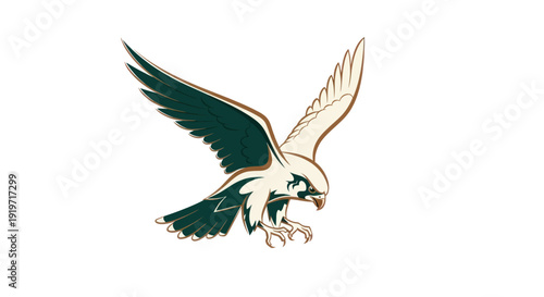 Soaring bird of prey illustration with outstretched wings isolated on white