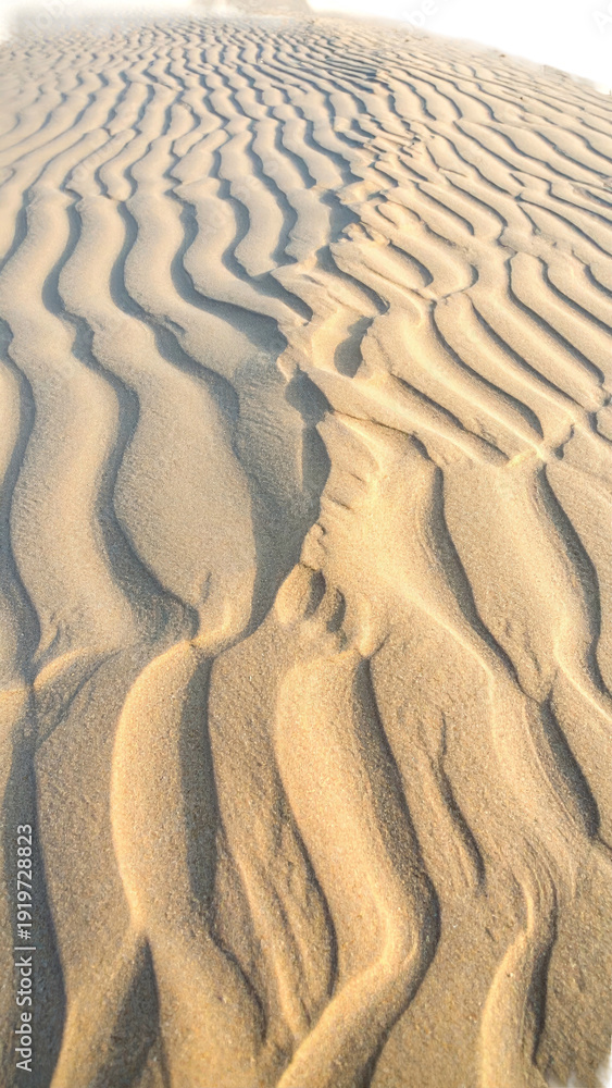 Fototapeta premium Vertical shot of wind-carved desert sand
