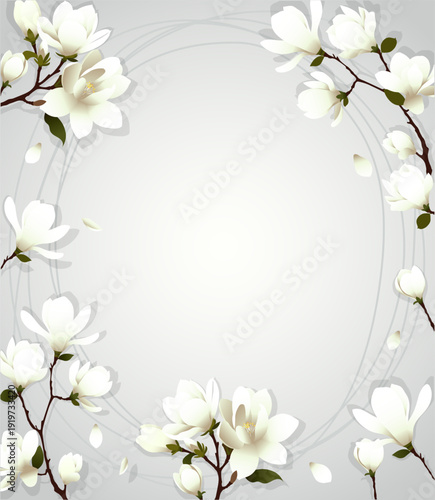 Magnolia