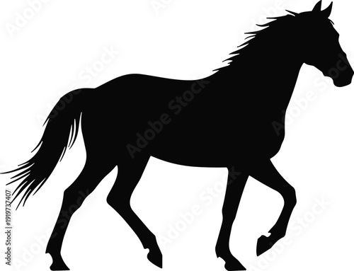 Black horse silhouette, side view of a stallion walking, isolated vector illustration on a white background for design