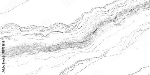 Abstract grayscale topographic contour lines forming layered geological strata and winding riverbeds