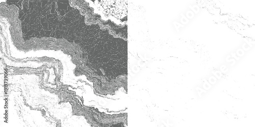 Abstract grayscale topographic contour lines forming layered geological strata and scattered dots