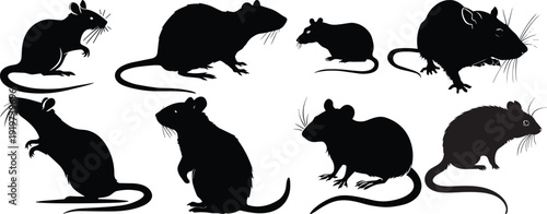 Rat silhouette vector set in grid layout. Eight rodents in standing, crouching and profile poses. Minimalist black design isolated on white background with thin border.
