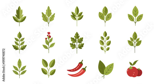 Green leafy plants vector set