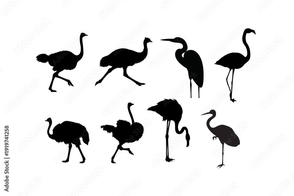 Fototapeta premium Bird Silhouette Collection Wild And Exotic Bird Icons