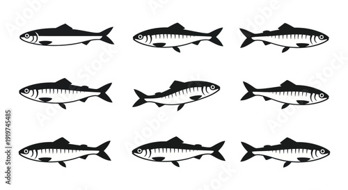 School of Sardine Fish Silhouettes on White Background