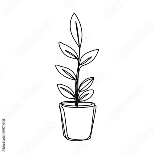 Simple line drawing of a potted plant with elongated leaves