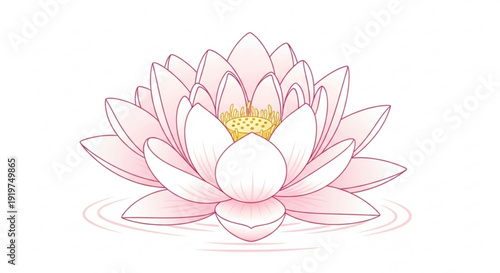 Delicate pink lotus flower illustration with soft gradient petals and golden center on white background