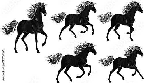 Black poppy flower and fern leaf silhouettes set, botanical garden floral elements for nature design, CAD drawing flat vector illustration on white background