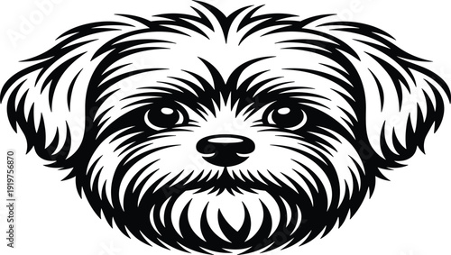 Cute dog face vector illustration with Shih Tzu or Maltese puppy features, black and white pet portrait for grooming logos, animal lover branding, and canine decals