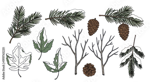 Winter Forest Elements Collection with Pine Cones and Bare Branches.