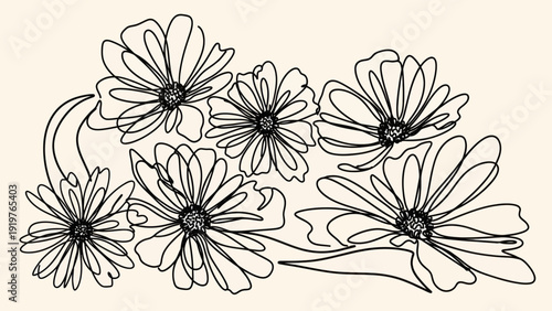 Minimalist Line Art Daisy Flowers Illustration.