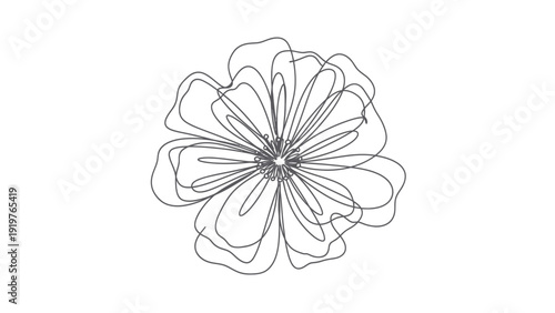 Minimalist Line Art Flower Drawing Simple Elegant Botanical Illustration.