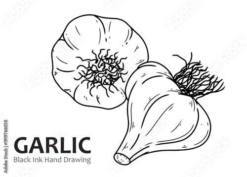 Black ink hand drawing of two garlic bulbs, illustrating a common culinary ingredient.